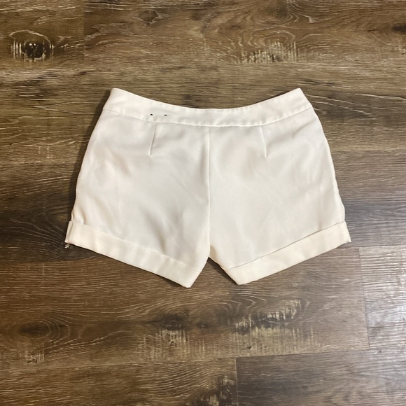 Express Shorts - Picture 4 of 5